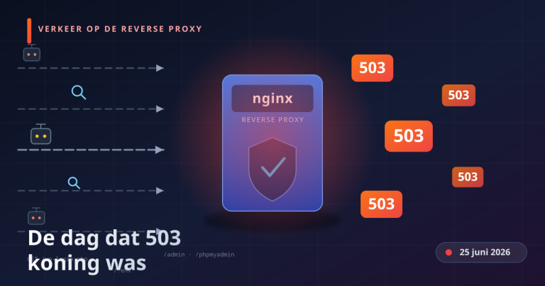 Verkeer op de reverse proxy — cover 25 juni 2026