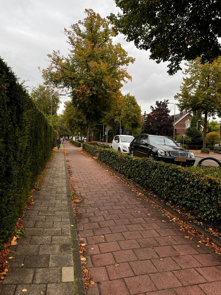 image-16